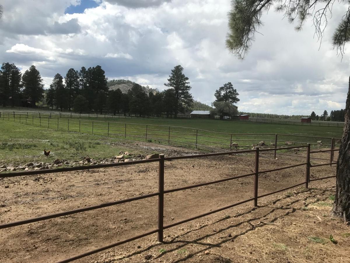 Grand Canyon Cottage At Historic Wrigley Ranch With Horseback Riding & Shooting Parks Exterior foto